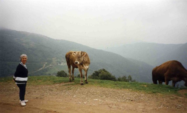 Alpe Monticchio